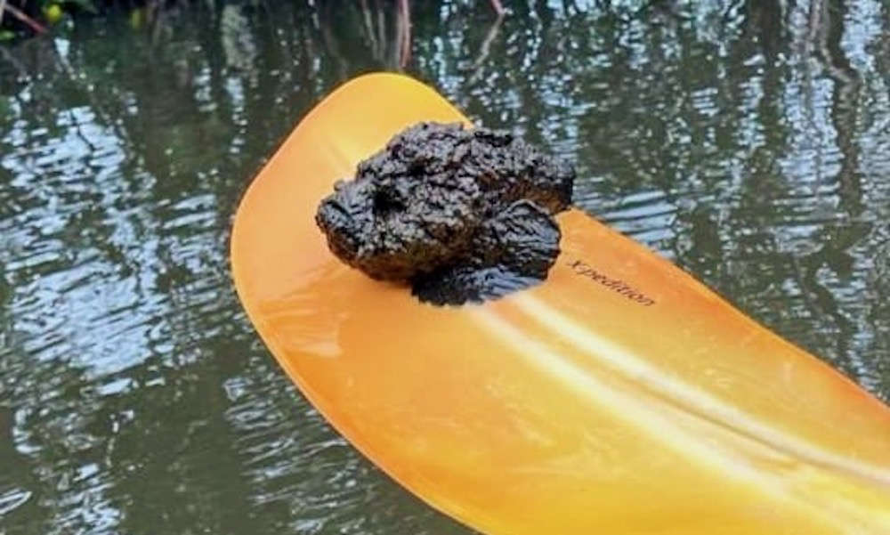 οͻľʱһš͡ ԭࡰʯ㡱