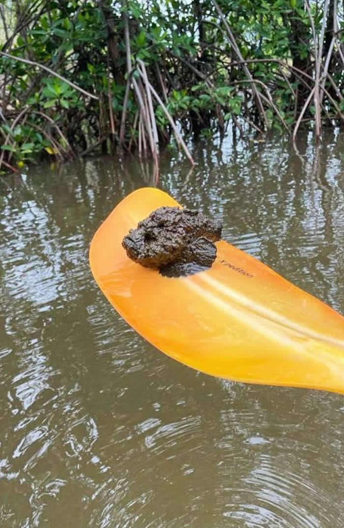 οͻľʱһš͡ ԭࡰʯ㡱