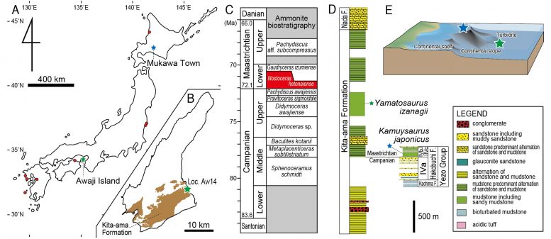 ձϲ췢µѼYamatosaurus izanagii
