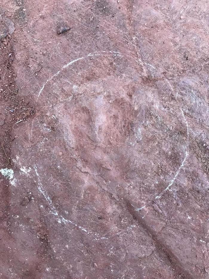 1亿年前晚白垩世早期恐龙留下一串脚印 古生物学家测出了它的时速