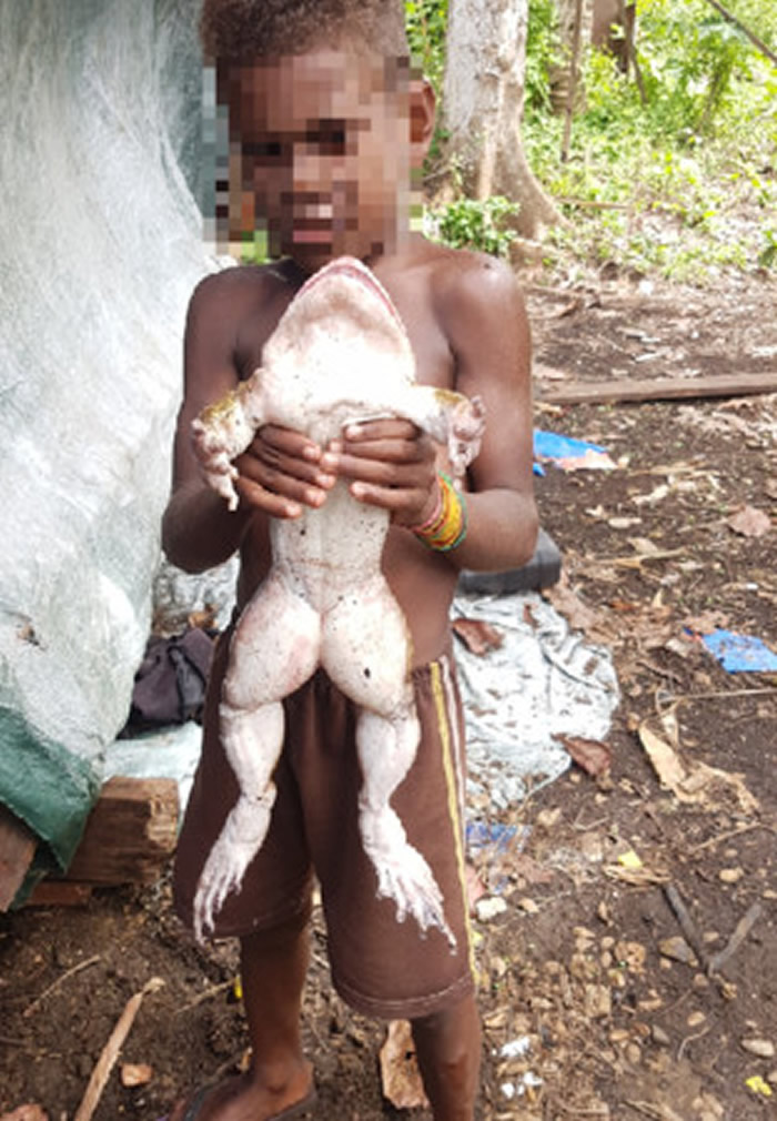 ̫ƽ󵺹Ⱥľзһֻ޴ܡФ