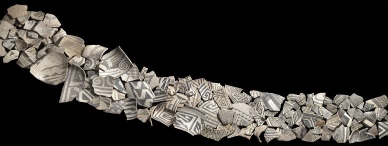 ������ѧ��ѧ��־����һ���¼������ı俼��ѧ���о��Ŵ�������µ�������Ƭ�ķ�ʽ