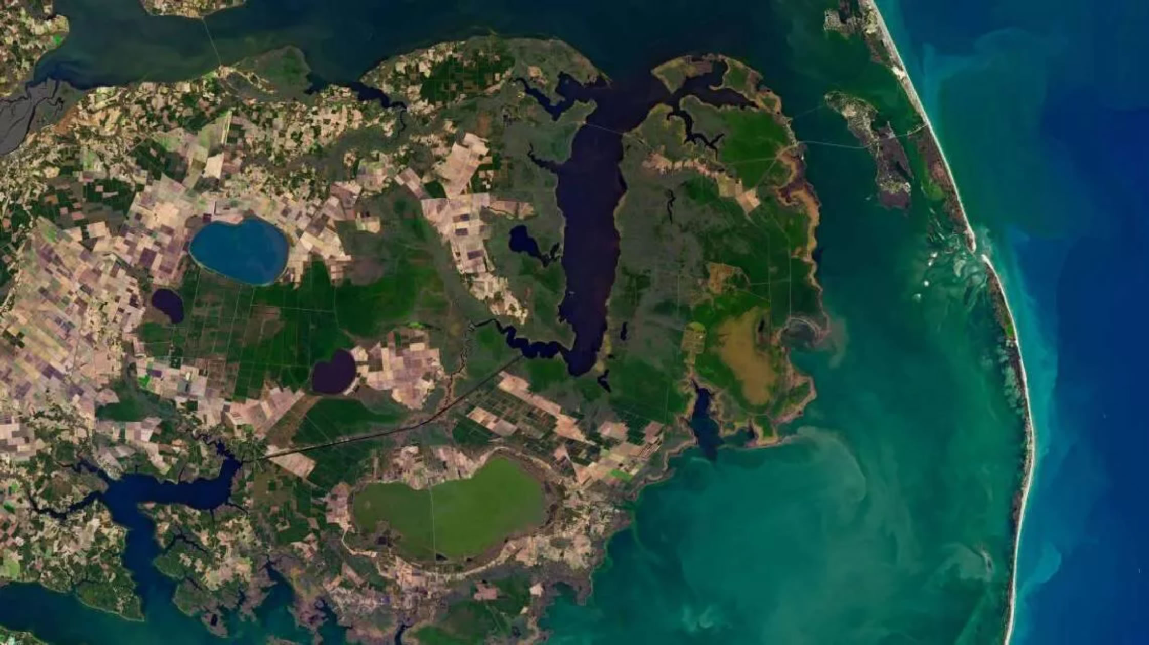 《Biogeochemistry》:美国北卡罗来纳州幽灵森林“树屁”也在释放温室气体