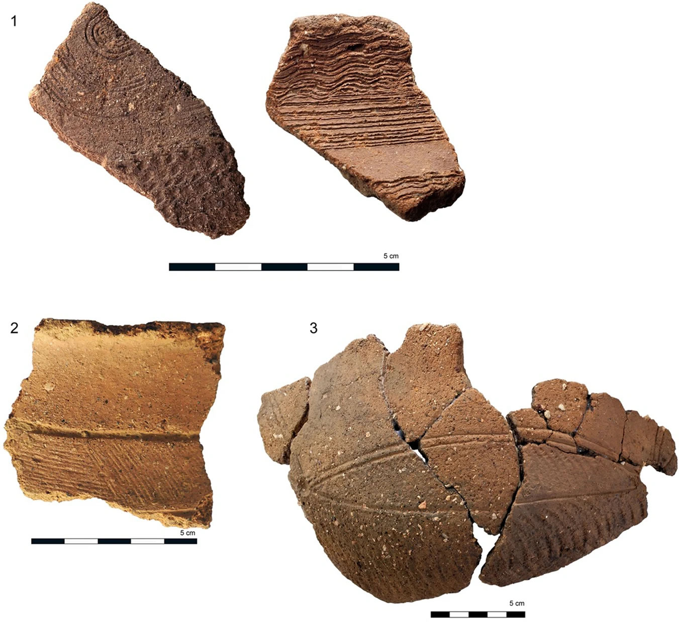 ǹŴչзַϵĲɼ۵ֱ֤