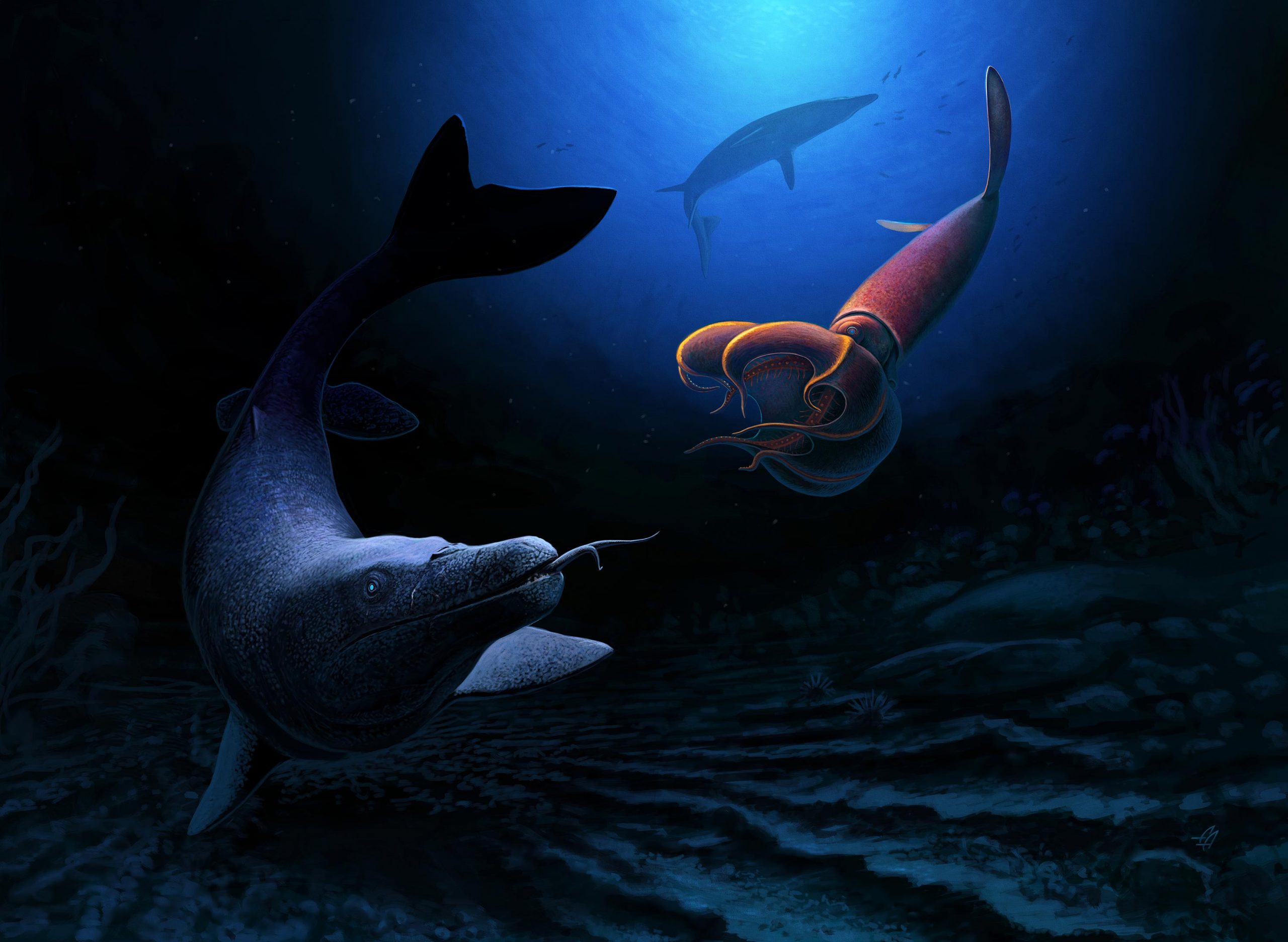 Ħ��緢�ֵİ��Ѽ�ĩ�ں�������ܳ���8��