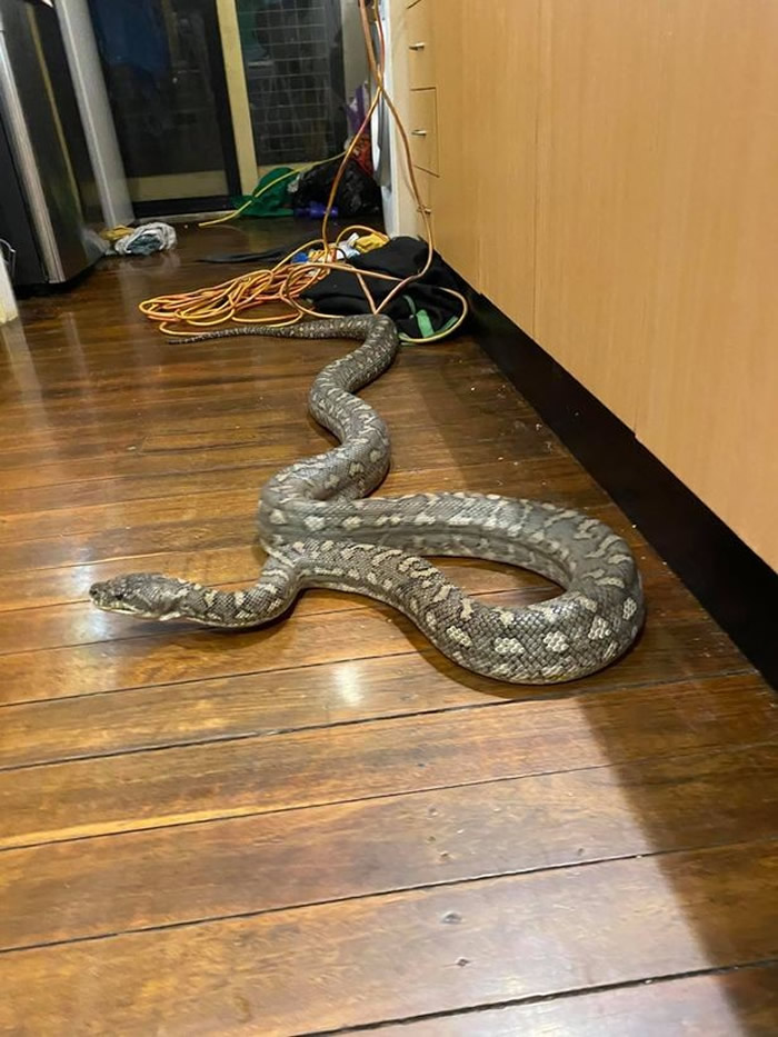 ޲˹컨崫 ̧ͷ3ߺ̺