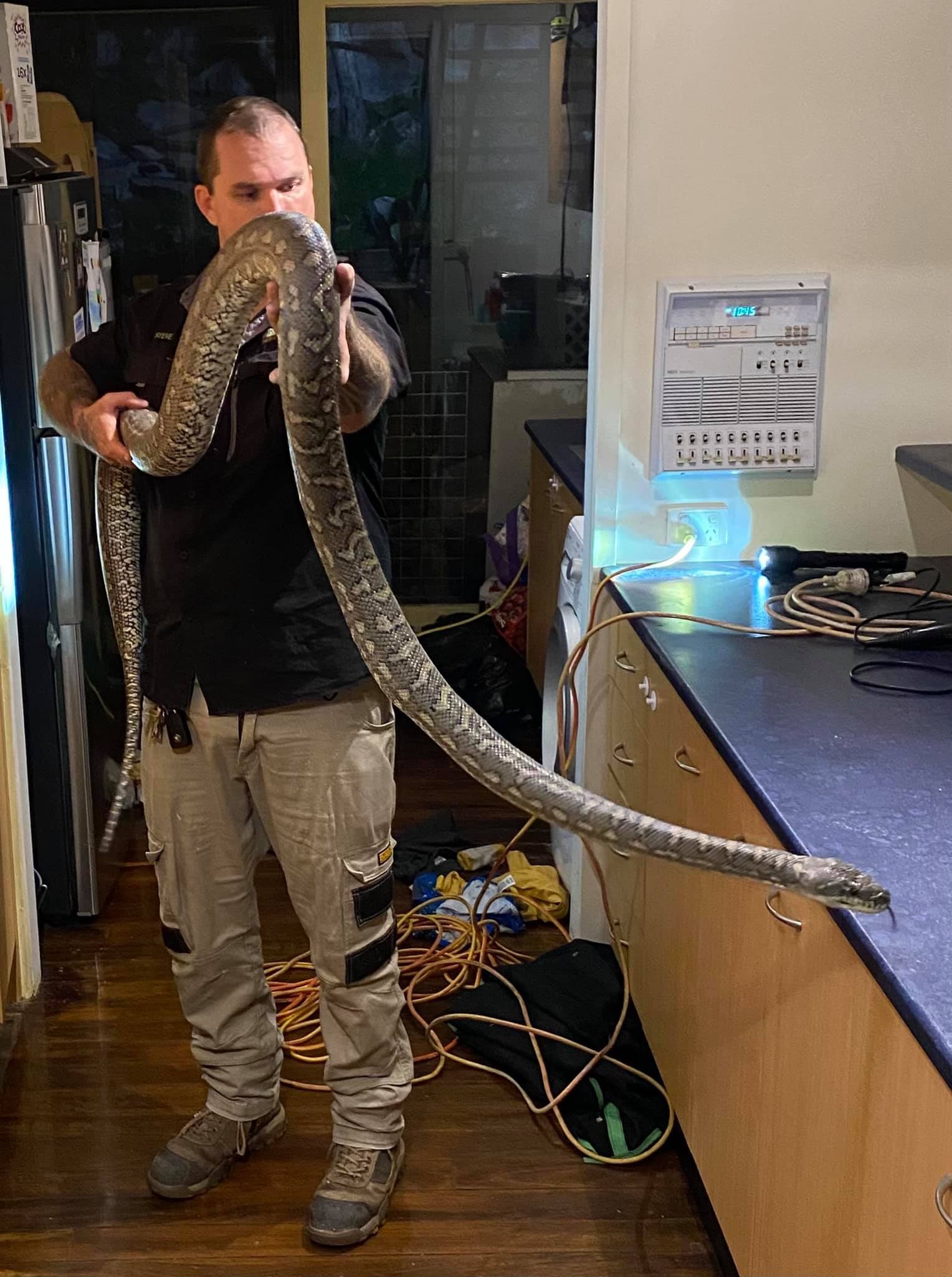 ޲˹컨崫 ̧ͷ3ߺ̺