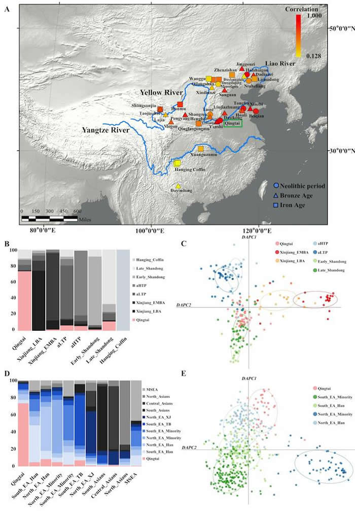 以青台遗址为代表的仰韶文化人群与其他古今人群母系遗传关系比对分析图。A. 青台人群与其他古代人群单倍群组成结构比较以及青台遗址地理位置;B. 青台人群与其他古代
