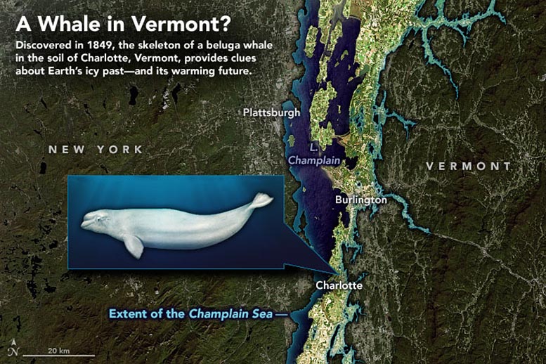 1849ڸ߳ƽ200Ӣߵĵط־Ǽ ѺƽԷ仯