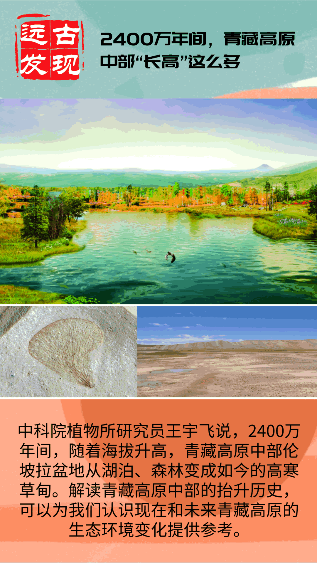 借助一株2400万年前的“小草”化石 科学家重建青藏高原中部2400万年前的高程与景观