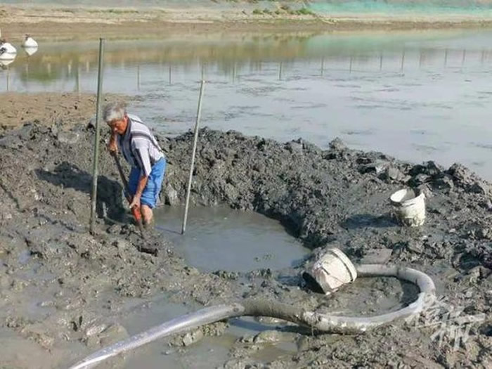 UFOʯ㽭Ҧׯһɫ׹ 10ǰܱвɹ