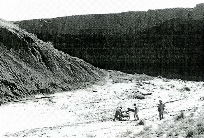 搬运恐龙足印化石