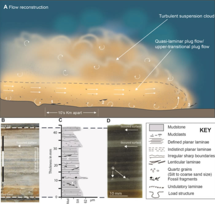 加拿大伯吉斯页岩遗址化石新研究:寒武纪生物多样性爆发有新解