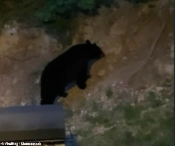 �������ӵ��������ݶȼ� �峿���к��ܵ��Űݷ�