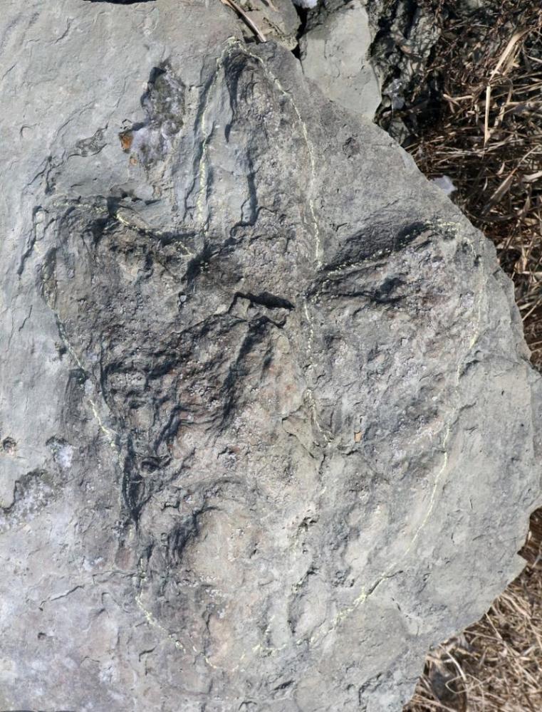 �޽����㼣