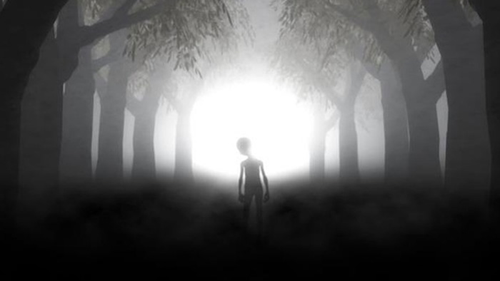 ѧMark Buchanan۵㣺óȻӴ˿ֵ