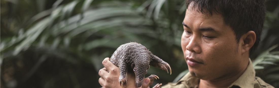 ԽҰSVWĲ7ȳ1600ֻΣɽ 