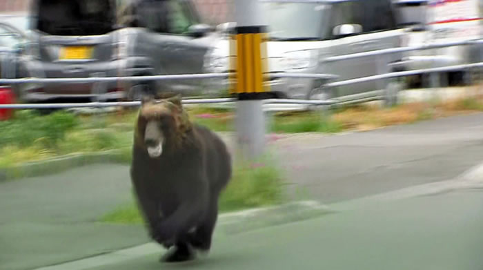 ܳûע⣡ձҰܹ4 ׷8Сʱջ