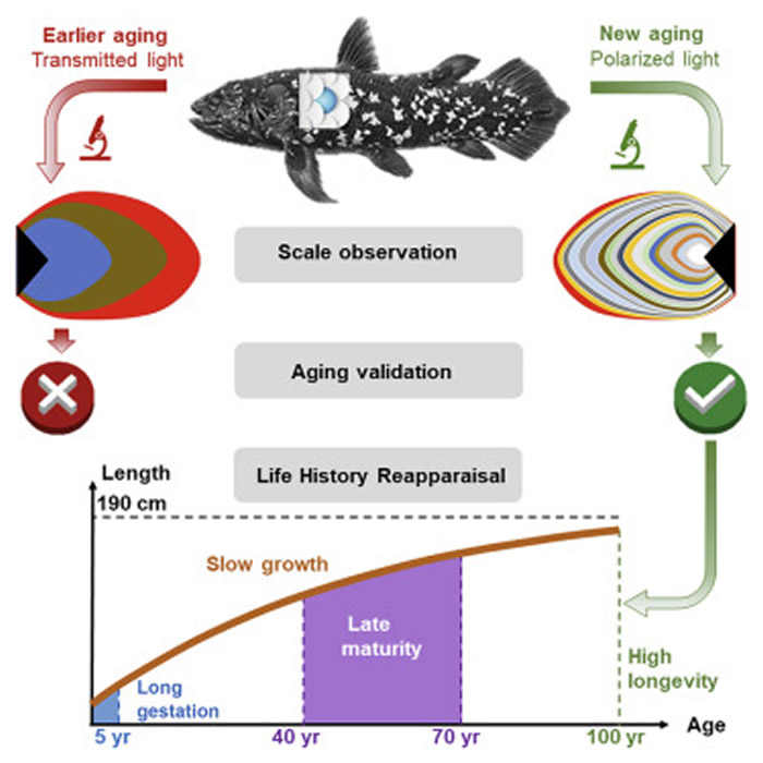 ��Current Biology����ǻ�����������������һ�����͵�ʱ��