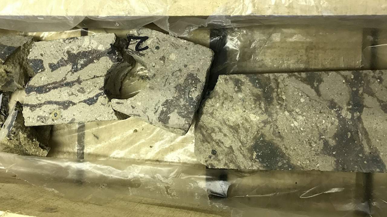 6500����ǰ��һ�ž޴����ʯײ�������ڵ��ڿ���