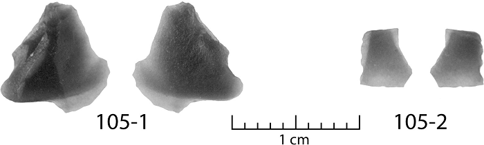 美国水下考古团队在休伦湖下发现9000年前黑曜石石器工具文物