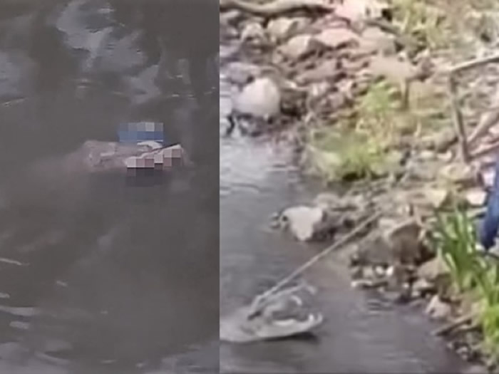 ī������ë����˹��Ů���ںӱ�ϴ�·� ͻȻ�⵽���㹥����ҧ��