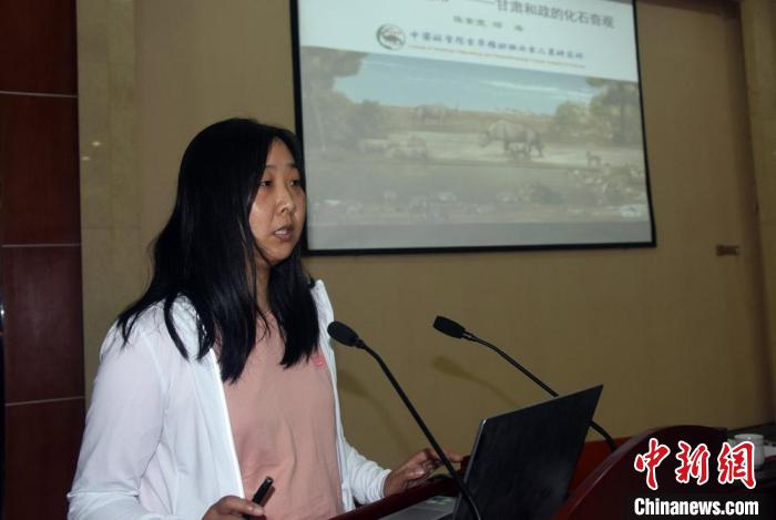 古生物学者:甘肃和政地区四大动物化石群创六项世界之最