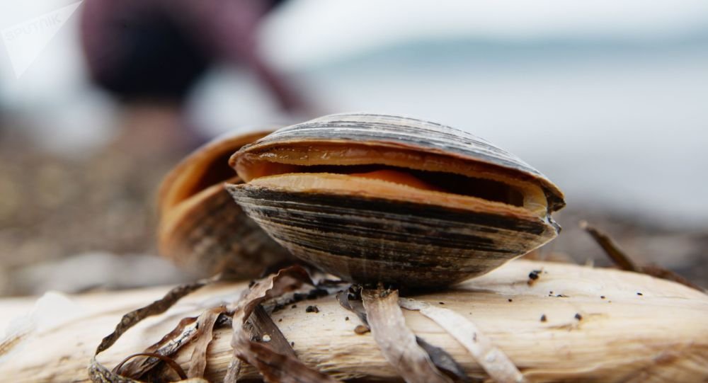 Ӣ������յ���ֹ��⿻�ʷ��� Ӧ�Ƚ����ʻ��λ���