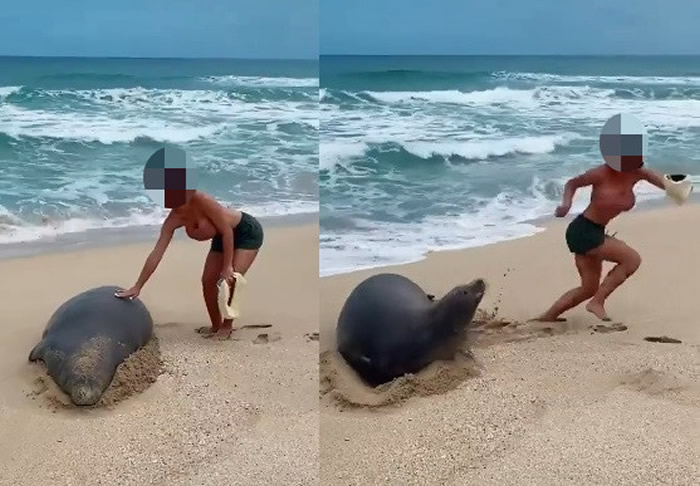 �������µ������Ķ��������ִ�����Σ��������ɮ����������