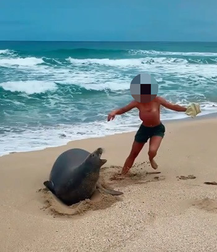 �������µ������Ķ��������ִ�����Σ��������ɮ����������