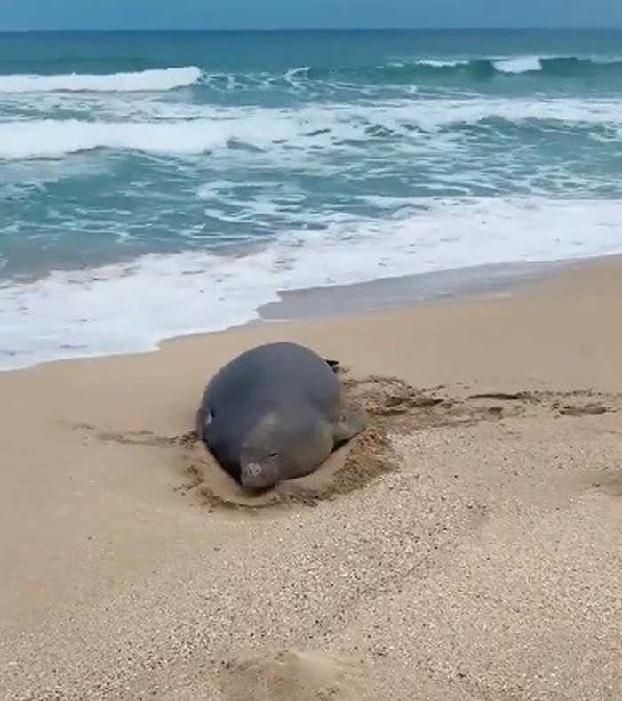 �������µ������Ķ��������ִ�����Σ��������ɮ����������