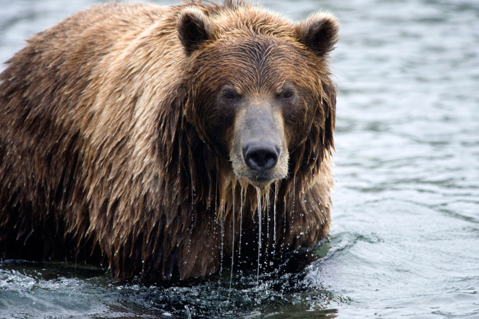 ˹һԷɭбҰ׷ɱ ϲԲ10漣