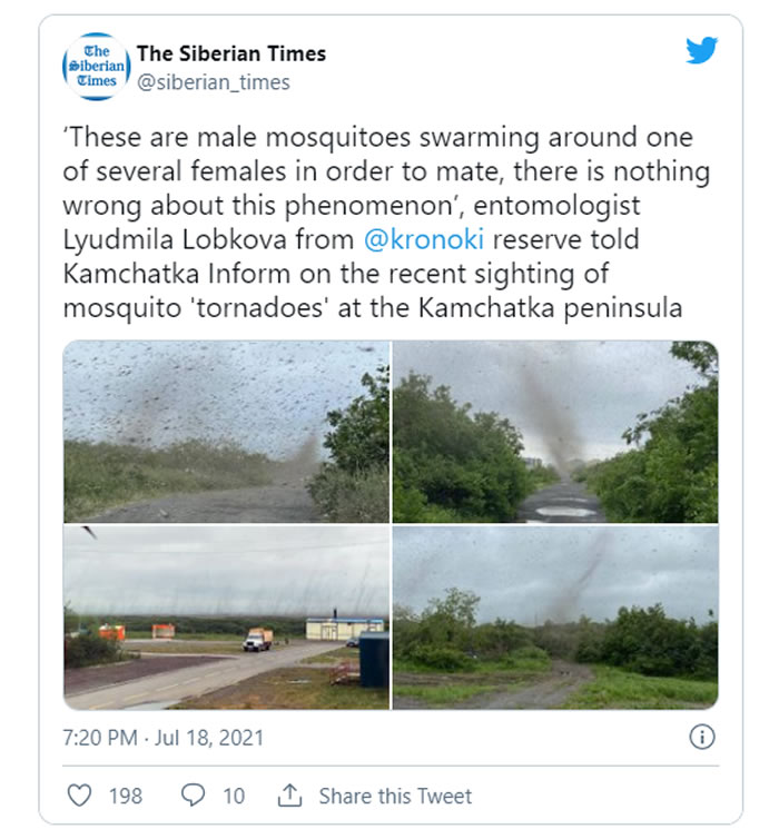 俄罗斯堪察加半岛村庄的蚊子“龙卷风”凸显气候变化的巨大影响