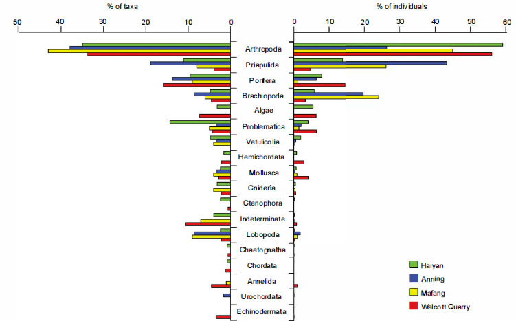 塔形图表,显示三个主要澄江生物群剖面(海晏、马房和安宁)与布尔吉斯生物群的代表地点Walcott采石场种属多样性和个体丰度的对比。