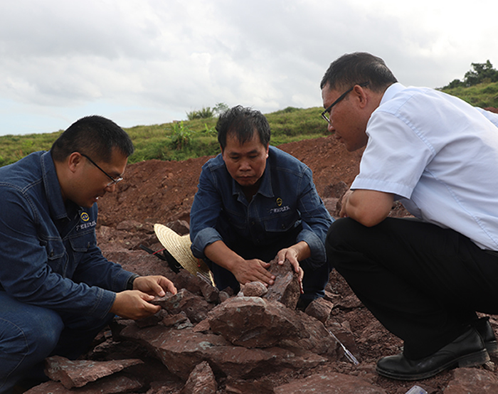 广西东兴市首次发现侏罗纪晚期恐龙化石