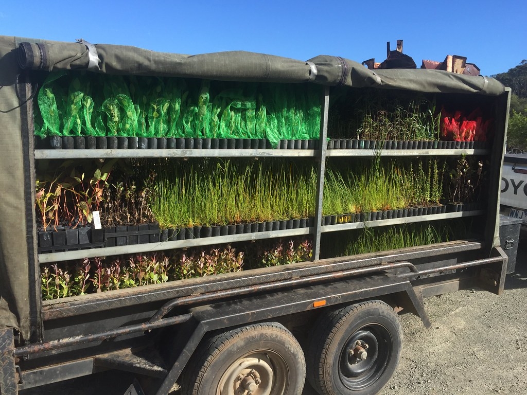 ʩᾯ棺ֻ뿿ﵽ2050꾻ŷ ҪӡȹŰõ