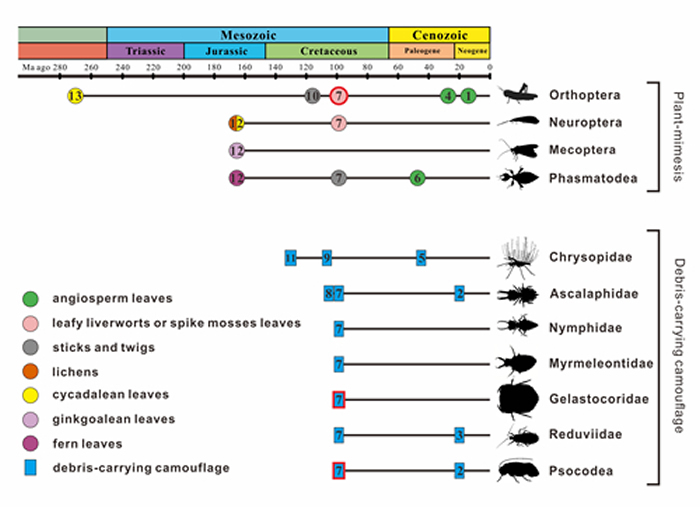 ������̬�븲��αװ��Ϊ�Ļ�ʯ��¼