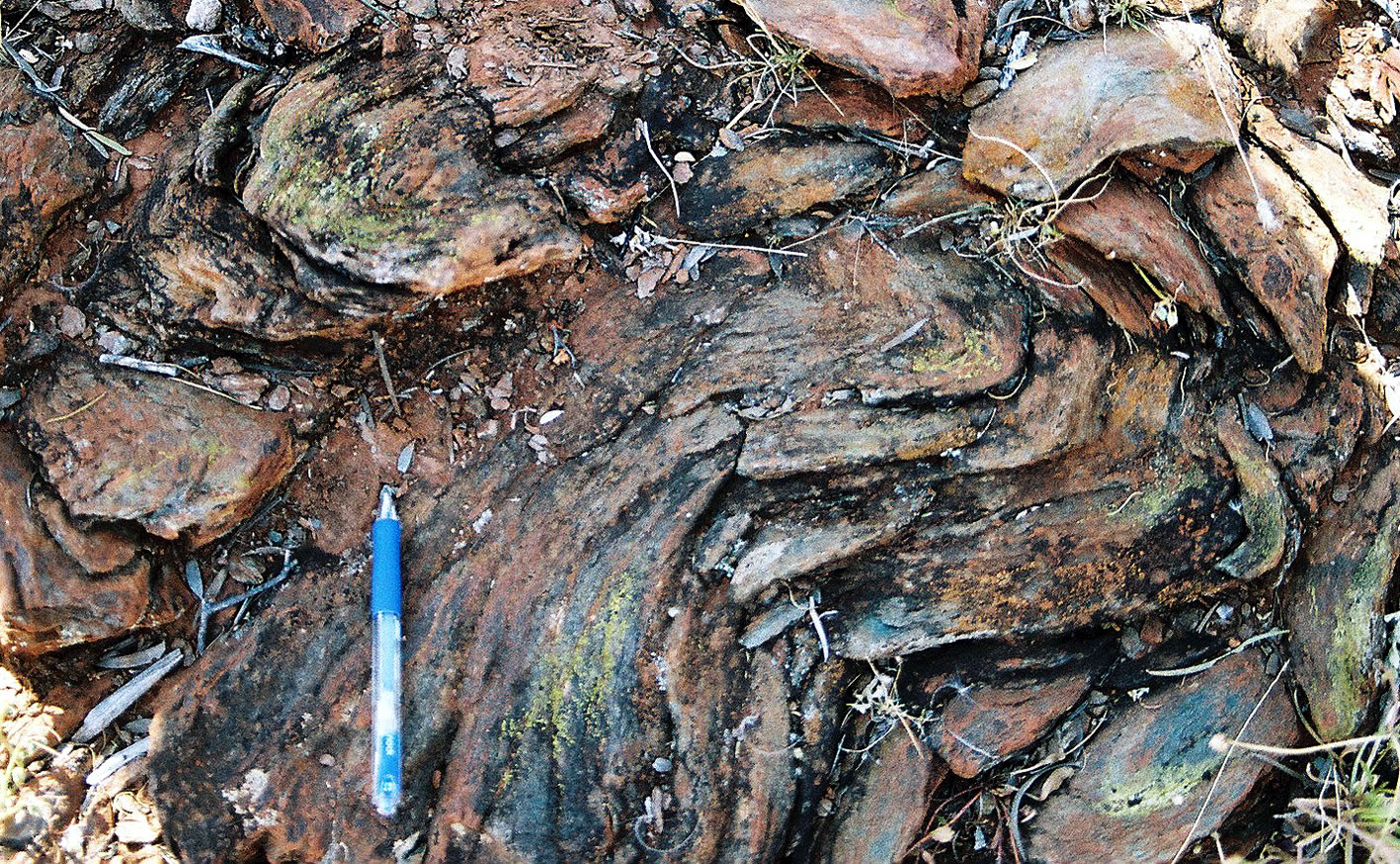 地球深层大陆根和克拉通