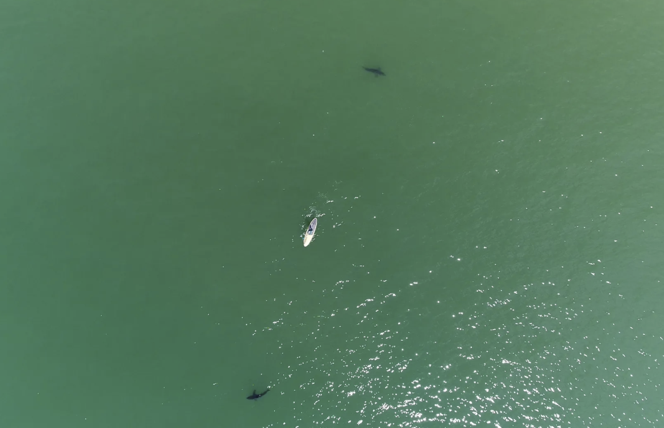 ˻оԱ󵼵Ŀ־壺ʵ֤ʵϲô