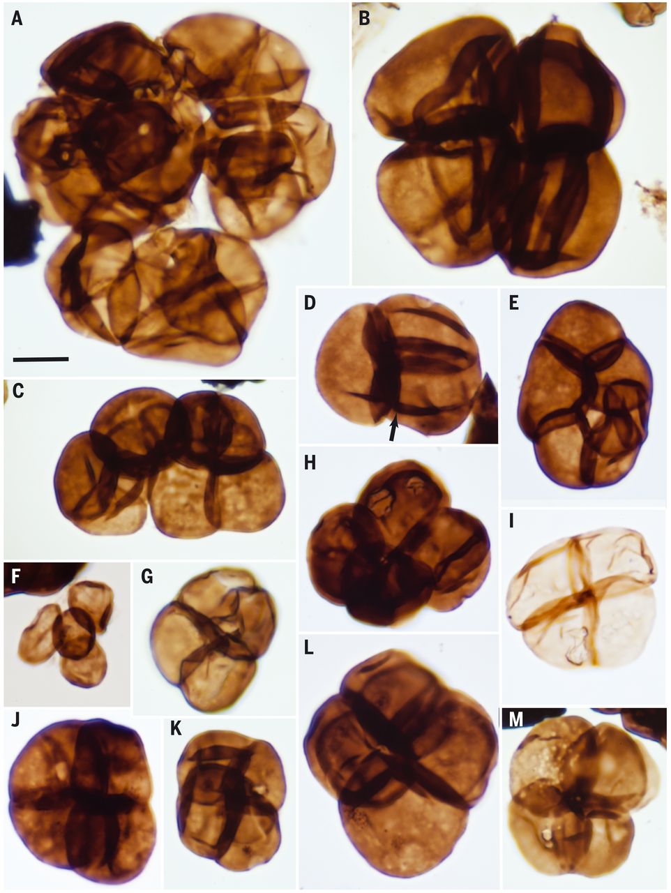 Ĵǲɼ4.8ǰİռͻʯʾ½ֲӵˮ