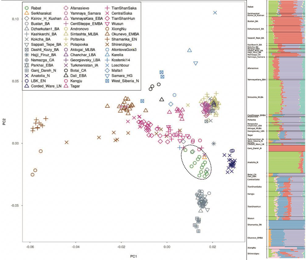 图2.PCA(左)和ADMIXTURE(右)分析
