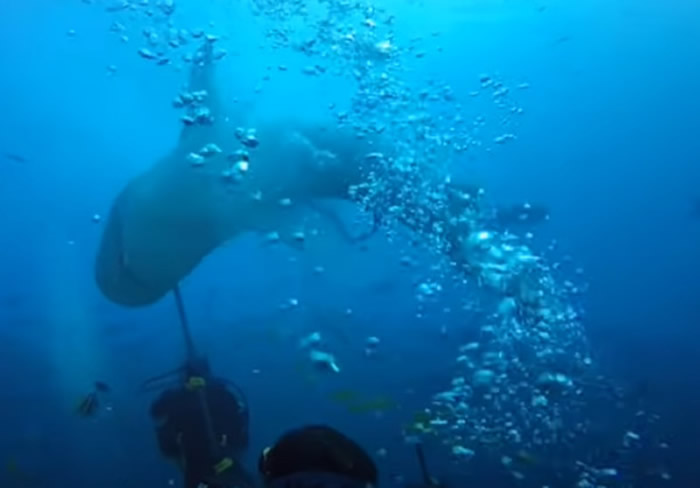 쳼ñ����������ҧǱˮ��ͷ������ ���˶���ȭ����߲�����