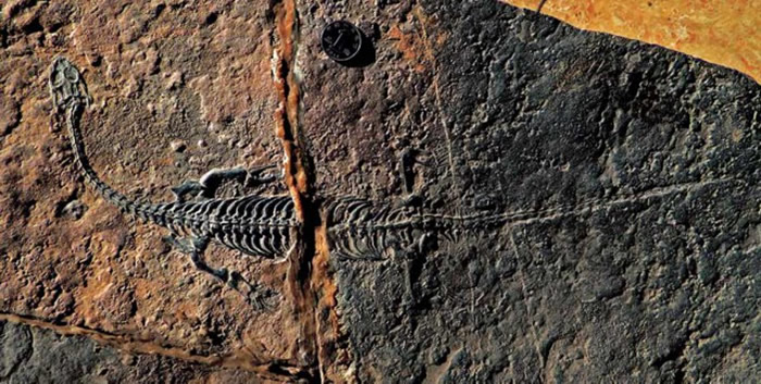 ���ݵᶫ������ƽ��ί��������ͼ