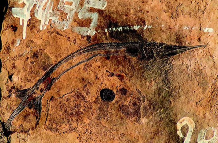 �����л����㡣��ƽ��ί��������ͼ