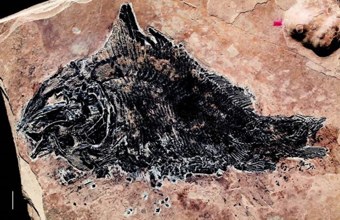 ��ʽ��ƽ�㡣��ƽ��ί��������ͼ