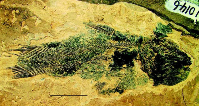 ����ȧ����ƽ�ռ��㡣��ƽ��ί��������ͼ