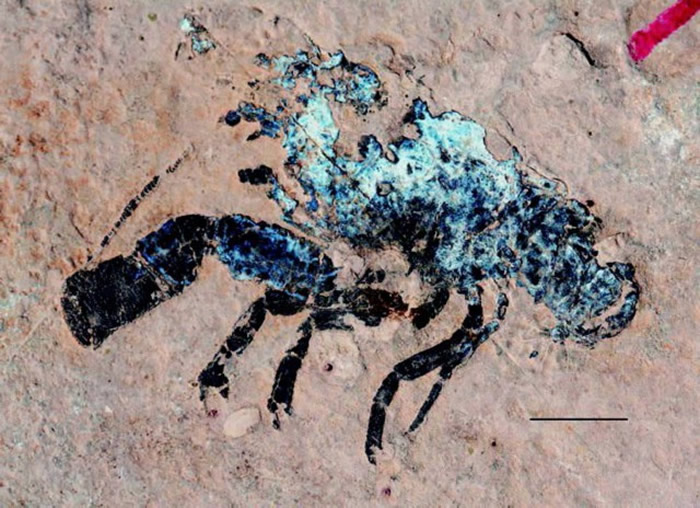 ������Ϻ����ƽ��ί��������ͼ