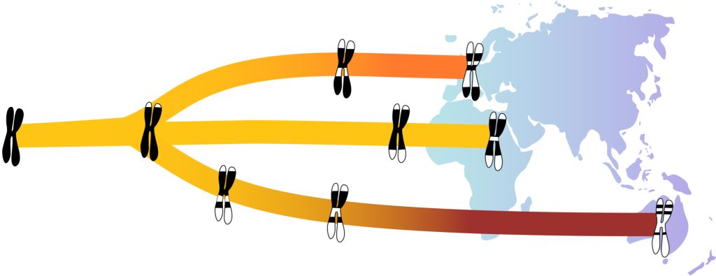 ���о������ڹ�ȥ4�����������������д��ʼ�������˲���