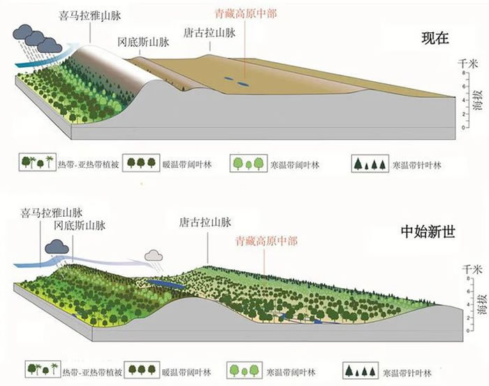 青藏高原地形演化示意图(供图:苏涛)
