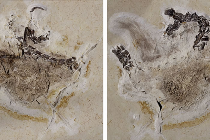 ѧŭˣ¹˹³Ȼʷݾܾ黹ǷȡĿʯ